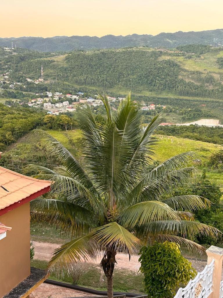 Lion'S View Bed & Breakfast Mandeville Eksteriør bilde
